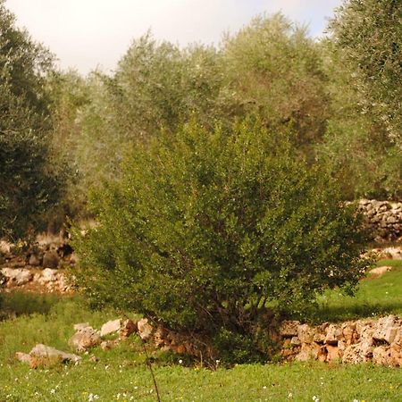 Il Giardino Di Viola Bed & Breakfast Ceglie Messapica Luaran gambar