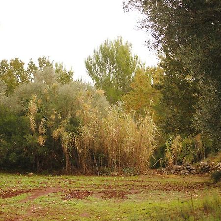 Il Giardino Di Viola Bed & Breakfast Ceglie Messapica Luaran gambar