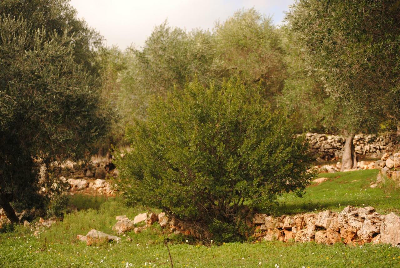 Il Giardino Di Viola Bed & Breakfast Ceglie Messapica Luaran gambar