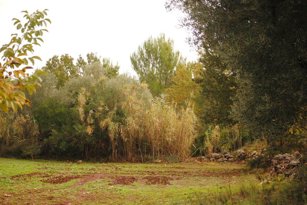 Il Giardino Di Viola Bed & Breakfast Ceglie Messapica Luaran gambar