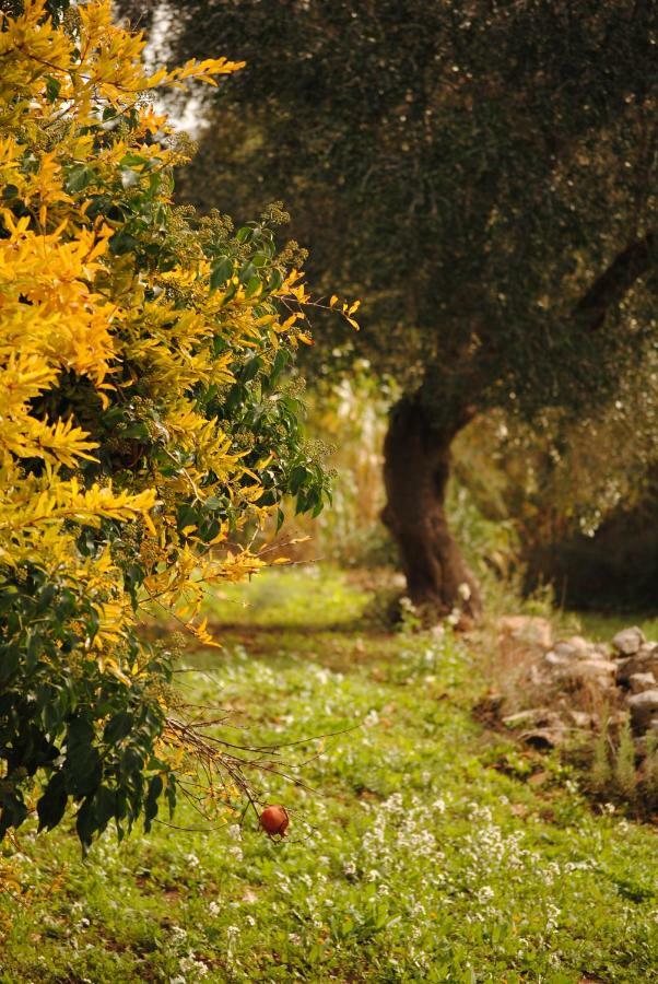 Il Giardino Di Viola Bed & Breakfast Ceglie Messapica Luaran gambar