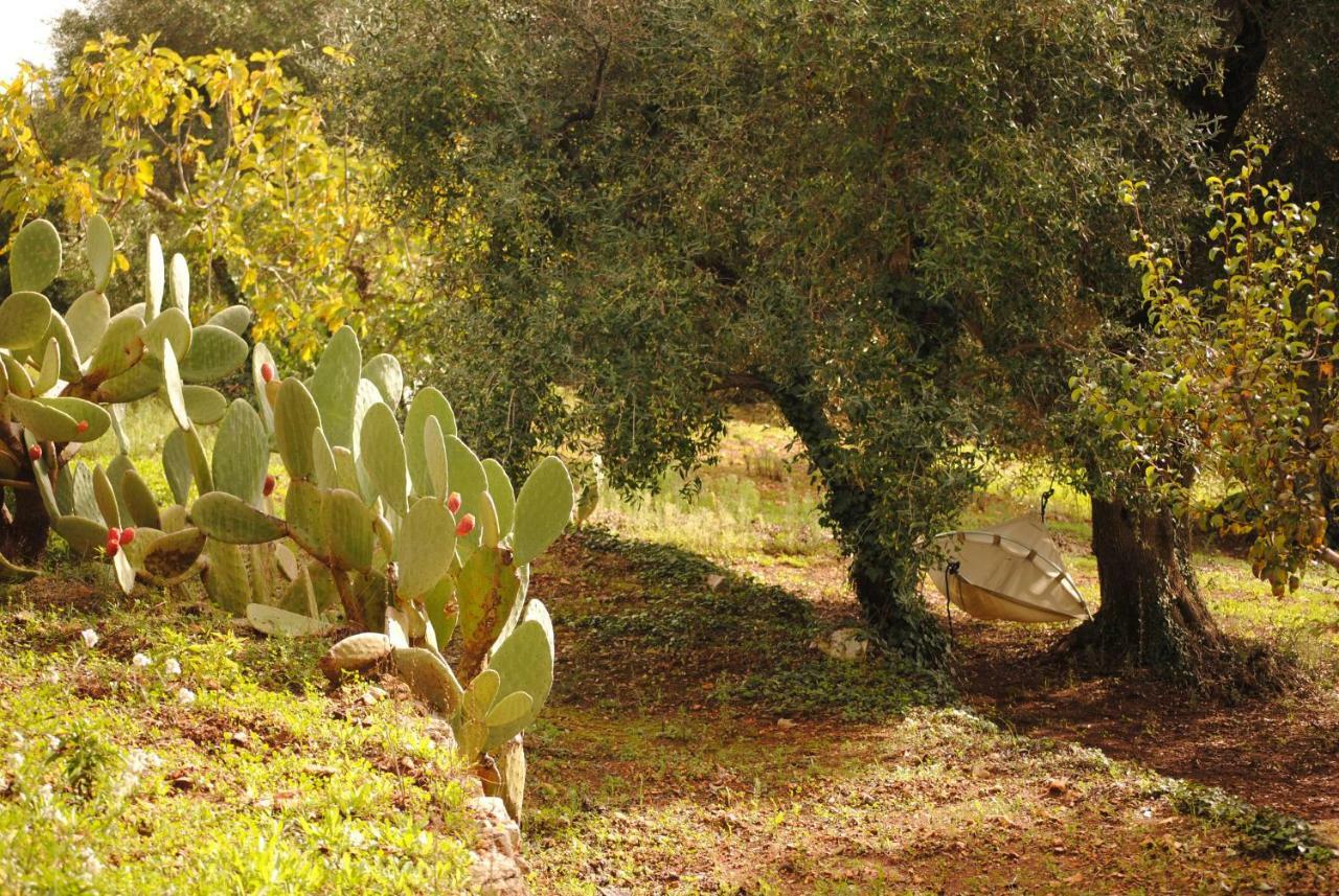 Il Giardino Di Viola Bed & Breakfast Ceglie Messapica Luaran gambar