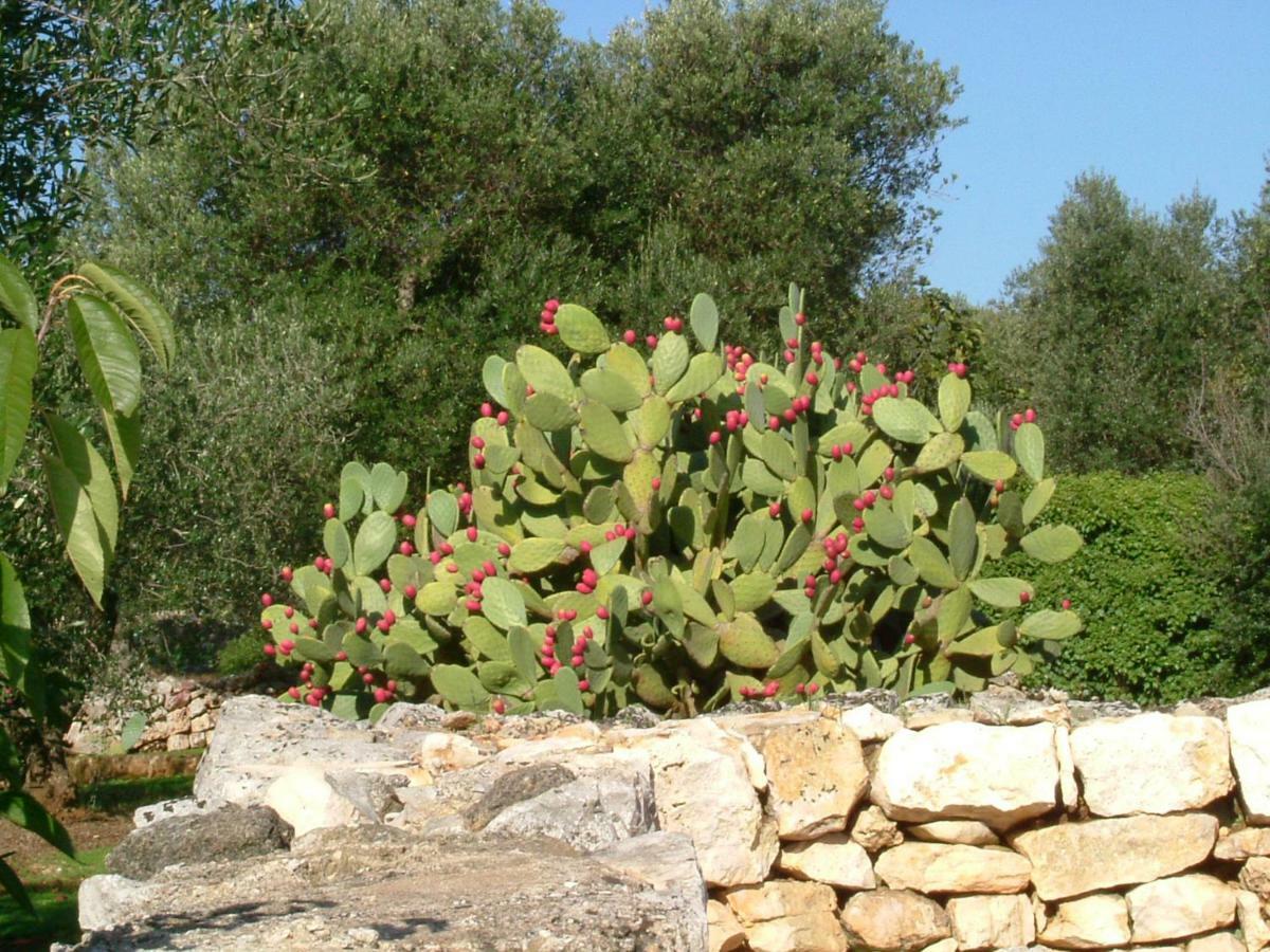 Il Giardino Di Viola Bed & Breakfast Ceglie Messapica Luaran gambar