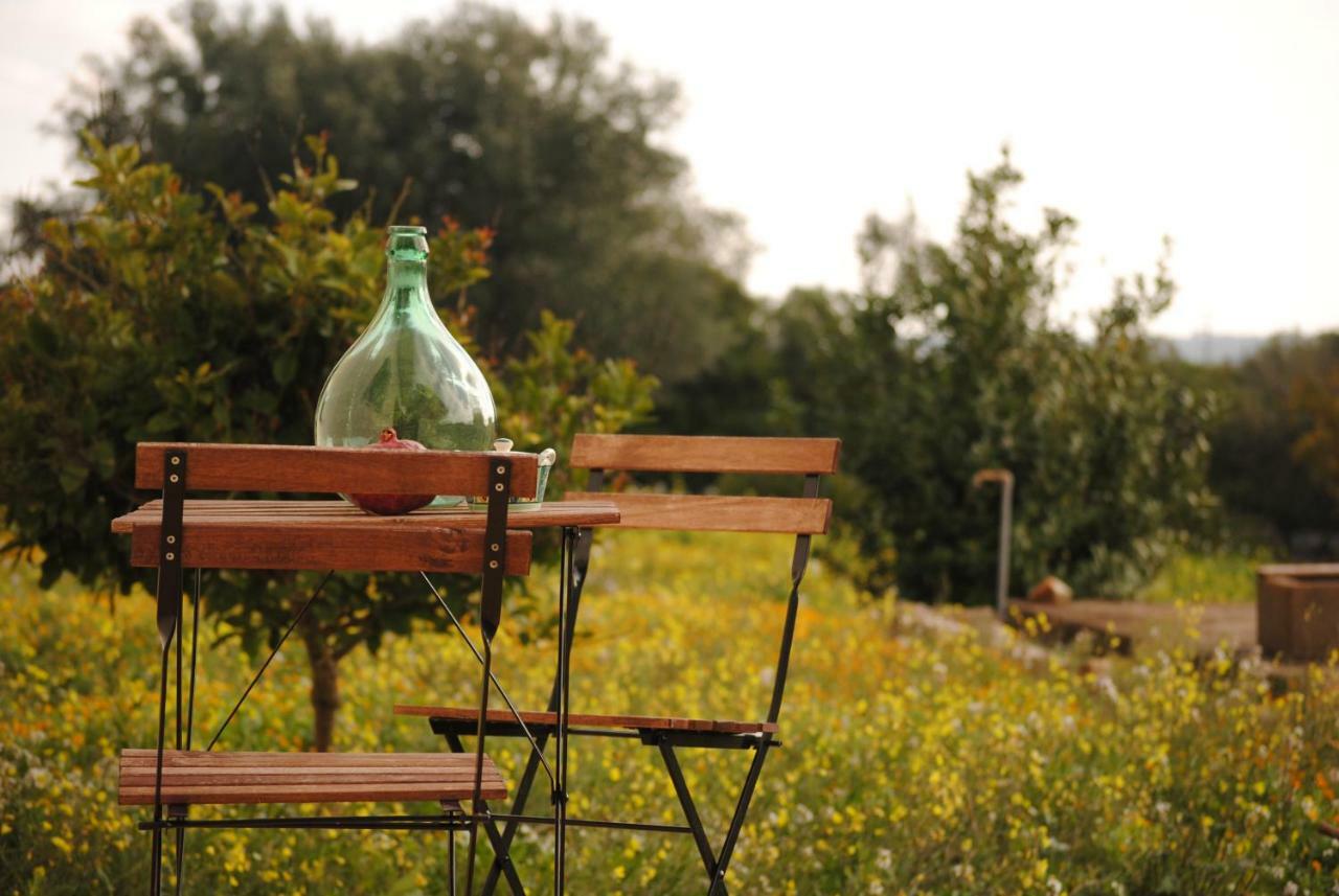 Il Giardino Di Viola Bed & Breakfast Ceglie Messapica Luaran gambar