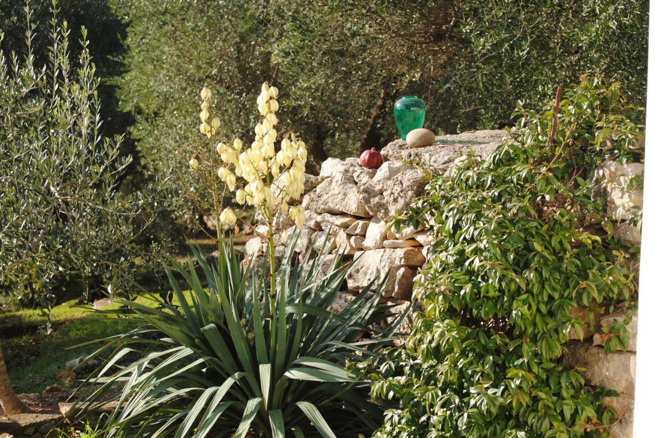 Il Giardino Di Viola Bed & Breakfast Ceglie Messapica Luaran gambar
