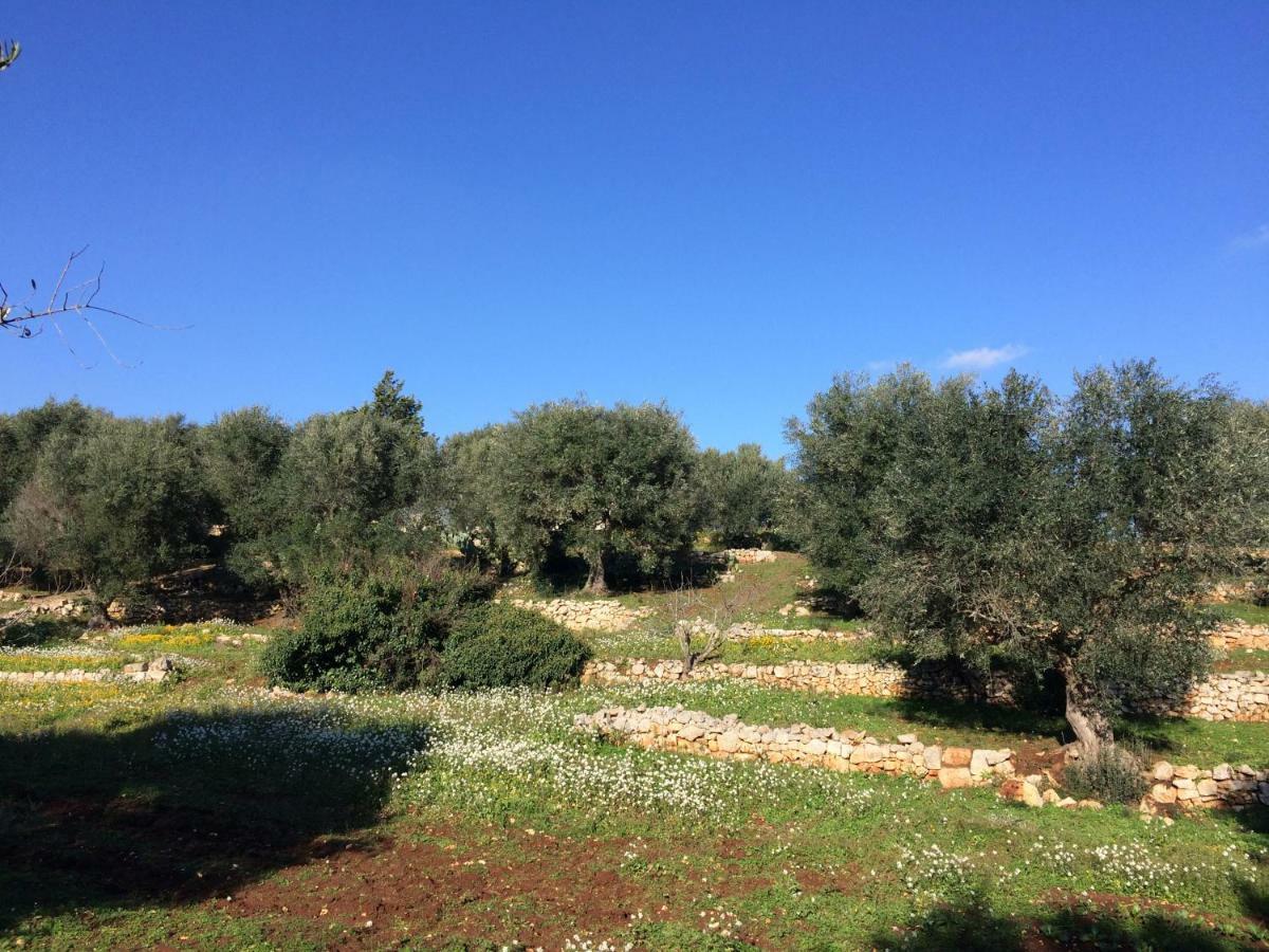 Il Giardino Di Viola Bed & Breakfast Ceglie Messapica Luaran gambar