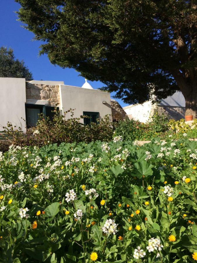 Il Giardino Di Viola Bed & Breakfast Ceglie Messapica Luaran gambar