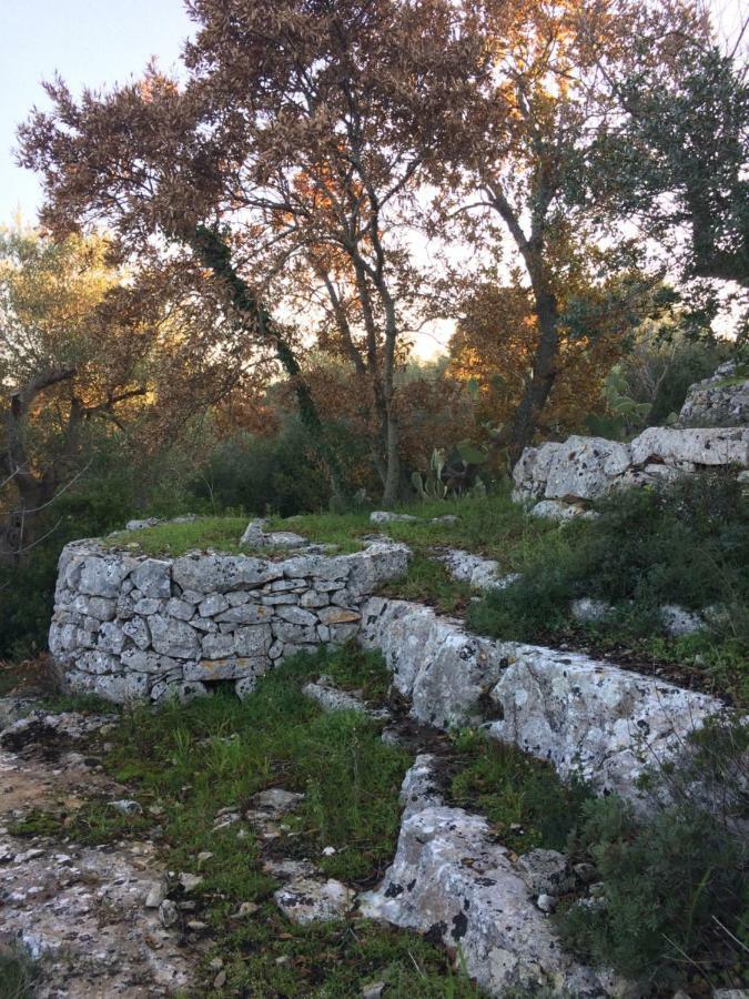 Il Giardino Di Viola Bed & Breakfast Ceglie Messapica Luaran gambar
