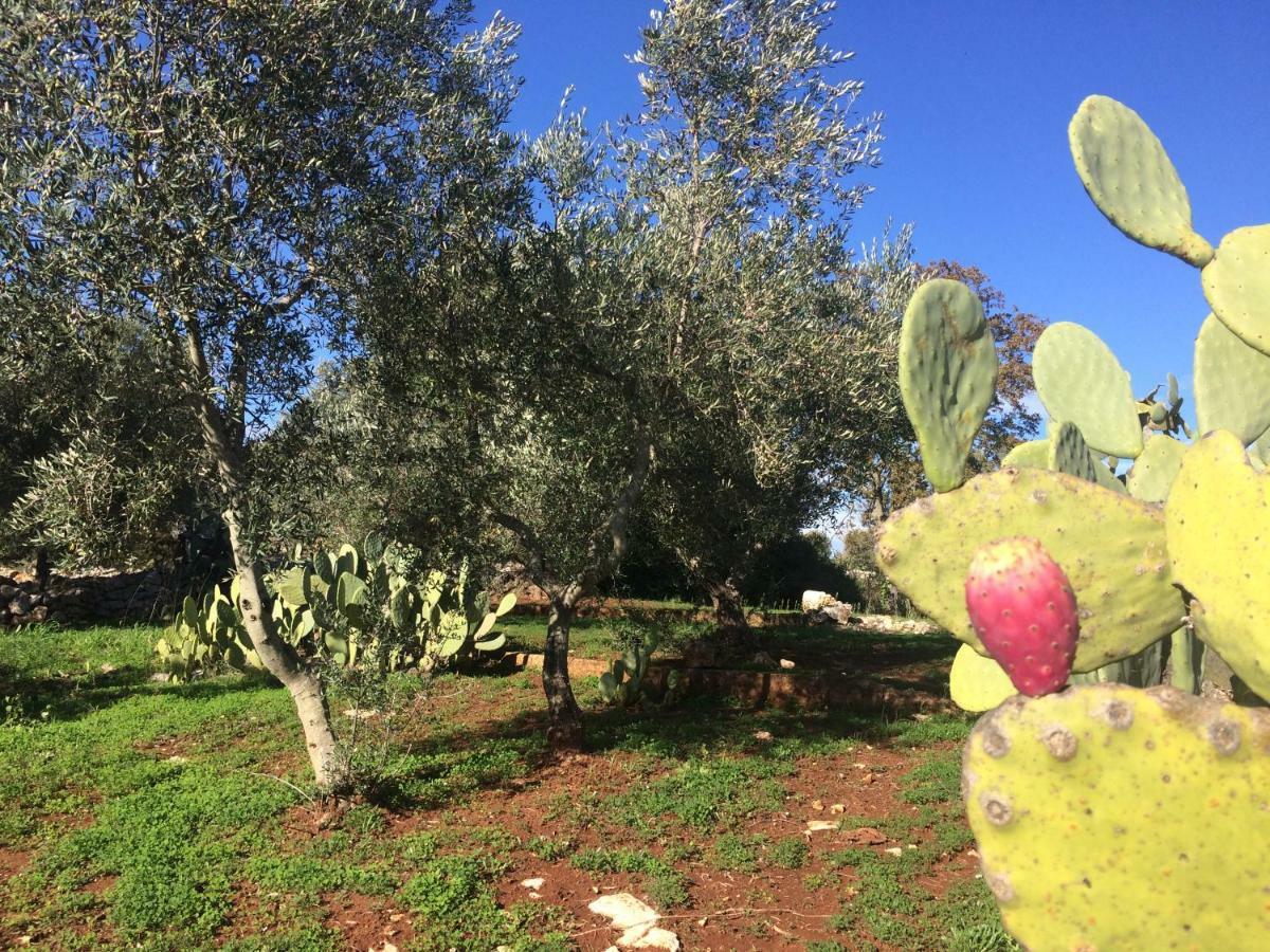 Il Giardino Di Viola Bed & Breakfast Ceglie Messapica Luaran gambar